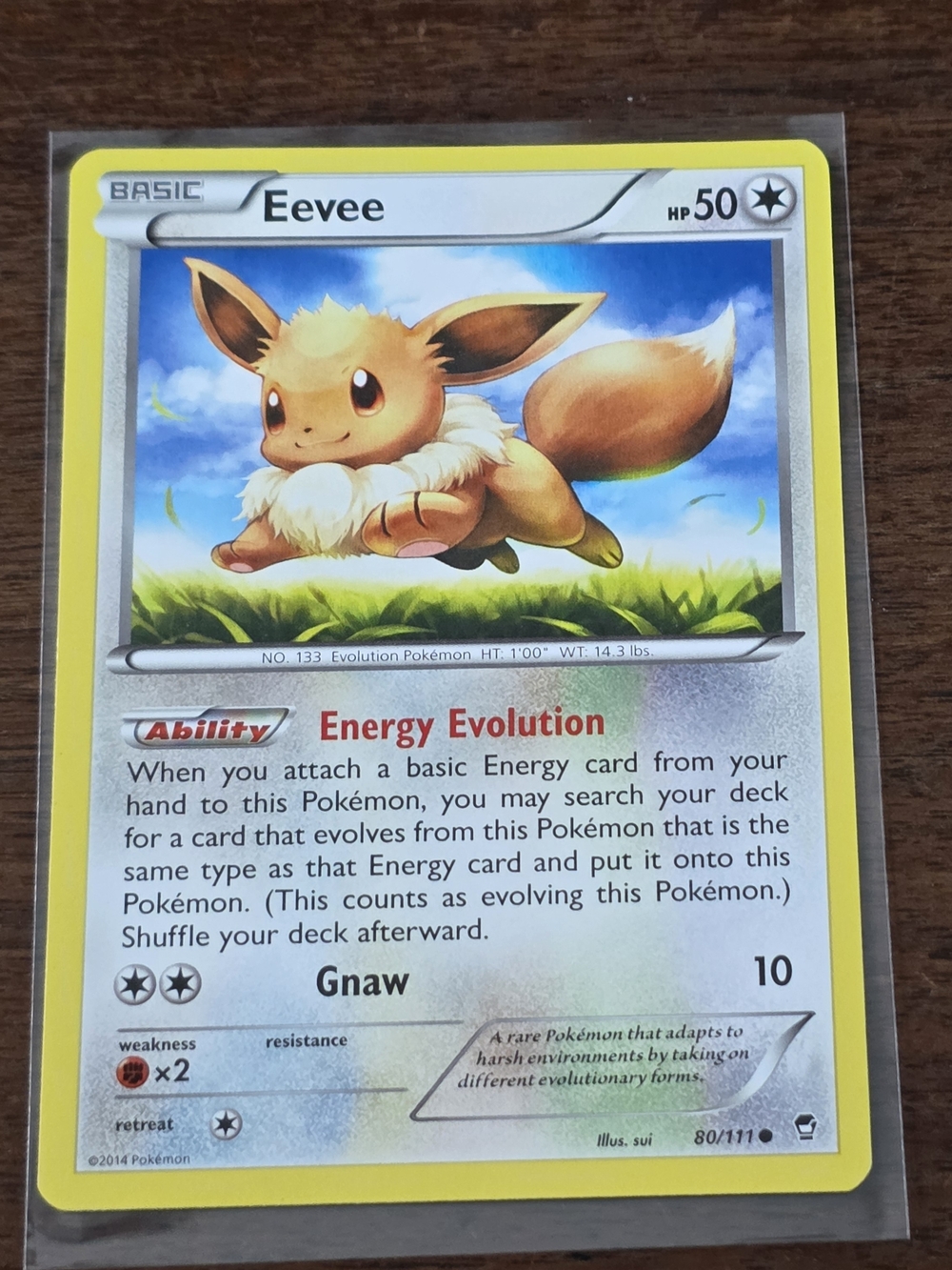Pokemon TCG Eevee  #80 - XY Furious Fists - Non Holo 80/111 card